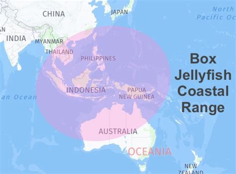 box jellyfish distribution map|where are box jellyfish located.